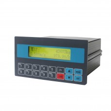Конвейерный индикатор SUPMETER BST100-D12
