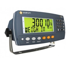 Весовой индикатор Rinstrum R420